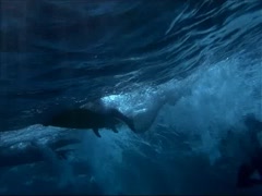 Kate Bosworth bikini, hot scene in Blue Crush 19