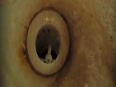 Sophia Bush hot , shower sex scene in The Hitcher 14