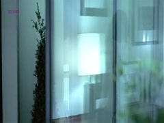Asia Argento underware , sexy scene in Boarding Gate 14