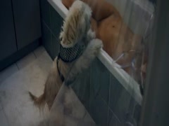 Viva Bianca full nude , breast scene in X 11