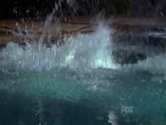Leighton Meester in North Shore 17