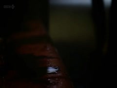 Natalie Dormer bathtub,hot scene in The Fades 2