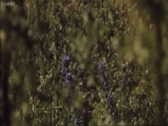 Renata Dancewicz in Devilish Education 5