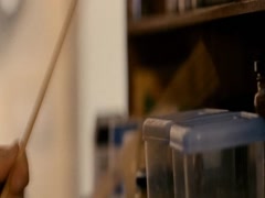 Gemma Arterton in Tamara Drewe 6