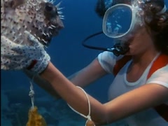 Jacqueline Bisset Transparent Dress , Nipple in The Deep 2
