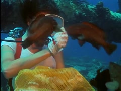 Jacqueline Bisset Transparent Dress , Nipple in The Deep 3