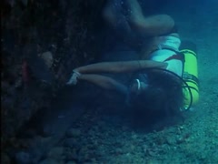 Jacqueline Bisset Transparent Dress , Nipple in The Deep 9