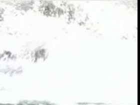 Jessica alba bikini, side boobs scene in Trippin 5