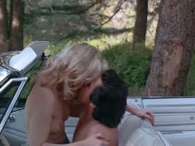Kate Vernon nude , car sex scene in Dangerous Touch (1994)  15