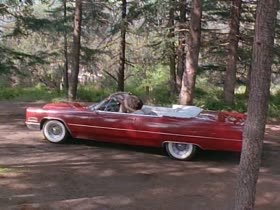 Kate Vernon nude , car sex scene in Dangerous Touch (1994)  17