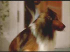Kelly Preston Kissing , Blonde scene in Mischief (1985) 16