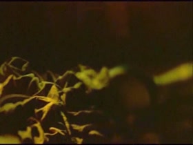 Meg Ryan in In The Cut blowjob  10
