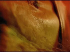 Meg Ryan in In The Cut blowjob  7