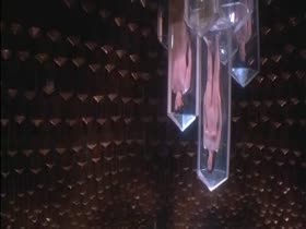 Mathilda May Fantasy , Brunette in Lifeforce (1985) 3