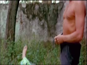 Sheryl Lee nude , boobs scene in Blood Oranges 16