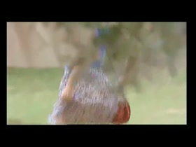 Yuliya Mayarchuk nude , hairy pyssu scene in Cheeky  18
