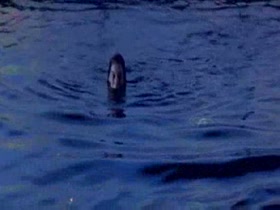 Anne Hathaway beach , hot scene in One Day 15