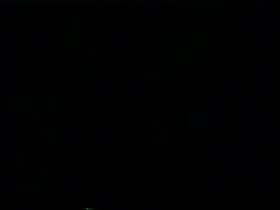 Pamela Anderson and Bret Michaels sex tape 1