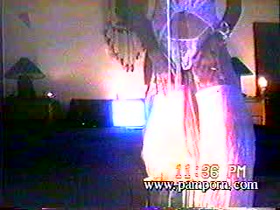 Pamela Anderson and Bret Michaels sex tape 4