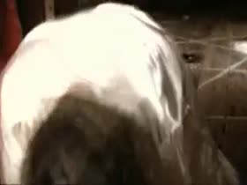 Shawnie & Julie nude scenes from Born 20
