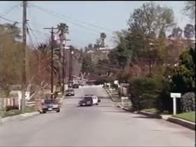 Shannon Whirry boobs , on top scene in Animal Instincts (1992) 15