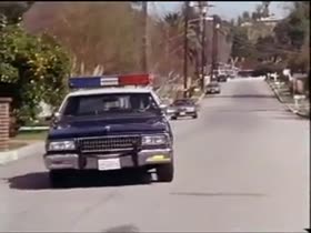 Shannon Whirry boobs , on top scene in Animal Instincts (1992) 16