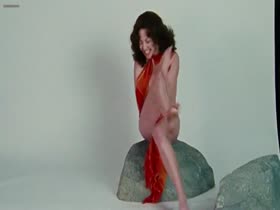 Amanda Seyfried nude scenes in Lovelace (2013) 9