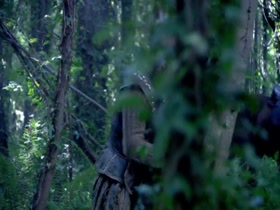Natalie Dormer in The Tudors S01E10 2