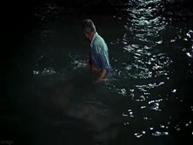Helen Mirren Wet Dress , Blonde scene in Age of Consent 15