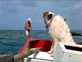 Helen Mirren Exposed , Butt scene in Age of Consent 18