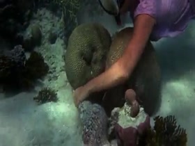 Helen Mirren Wet Dress , Outdoor in Age of Consent 19