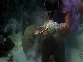 Helen Mirren Wet Dress , Outdoor in Age of Consent 20