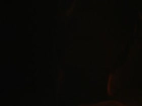 Sean Young hard nipples, sex scene in Fire Birds 20