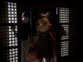 Sheryl Lee nude , boobs scene in Kiss the Sky 3