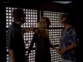 Sheryl Lee nude , boobs scene in Kiss the Sky 4
