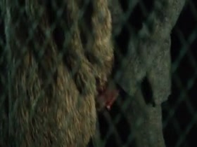 Nicole Kidman Kissing , Blonde in Hemingway & Gellhorn 10
