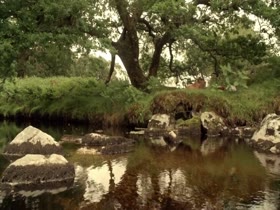 Mieke Dockley in Camelot (2011) 1