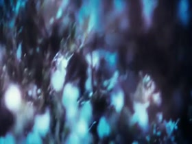 Melanie Bernier in His Majesty Minor (2007) 9