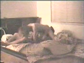 Tanya Harding blowjob , missionary in sex tape 12