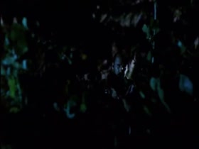 Kelly Brook sex , nude scene in Survival Island 8