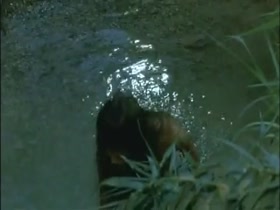 Phoebe Cates in Paradise Compilation 8