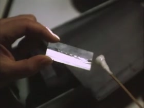 Julie Lee in Trilogy of Lust (1995) 1