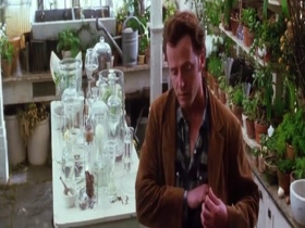 Sandra Bullock , Nicole Kdman scene in Practical Magic 11