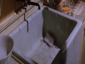 Sandra Bullock , Nicole Kdman scene in Practical Magic 5