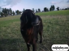 Hot babes boar hunting and try out sky diving while naked 7