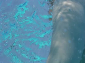 Anna Galiena Wet , Transparent Dress in Senso '45 (2002) 20