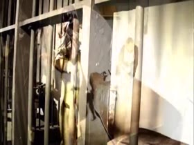 Christine Nguyen Hot Sex Videos 17