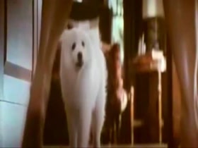 sandra bullock in The Proposal 13