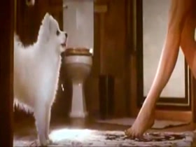 sandra bullock in The Proposal 16