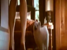 sandra bullock in The Proposal 8